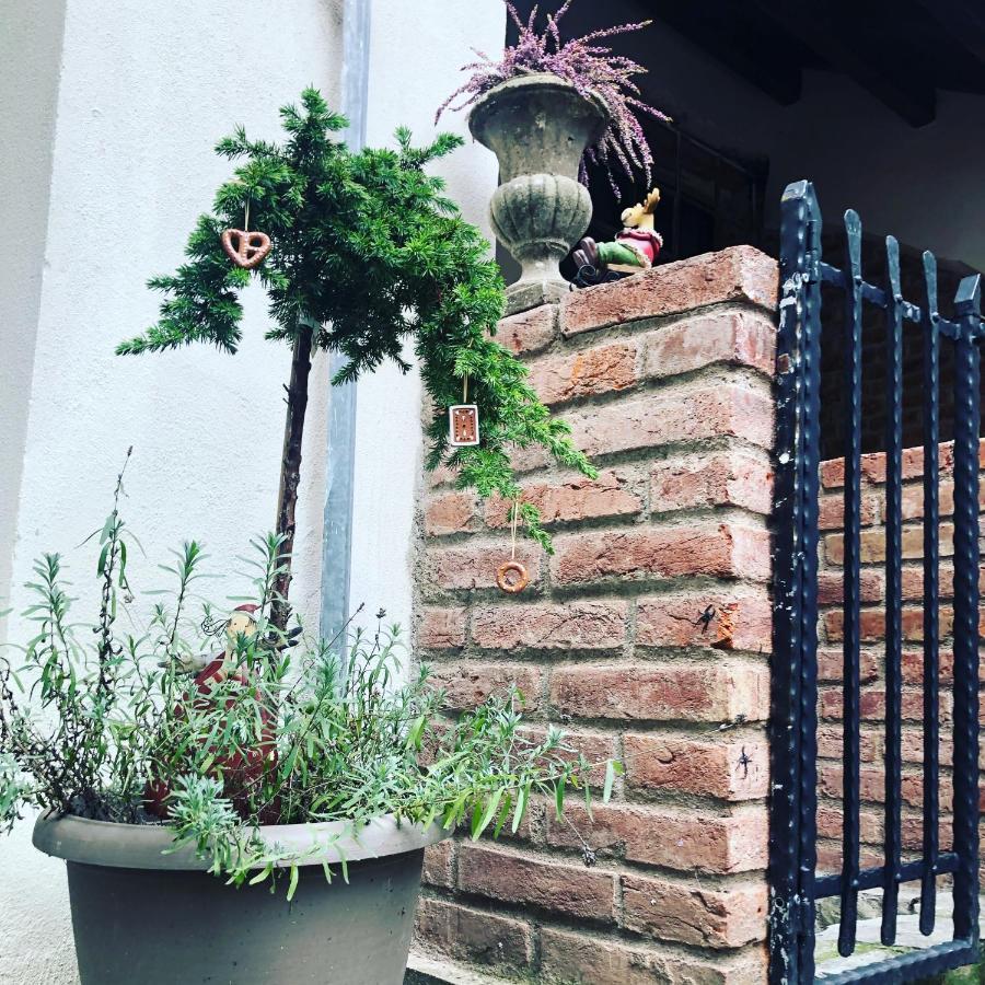Apartmany Kovacska Košice Εξωτερικό φωτογραφία